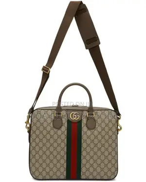 Gucci/Lv Luxury Designer Laptop/Office Bags