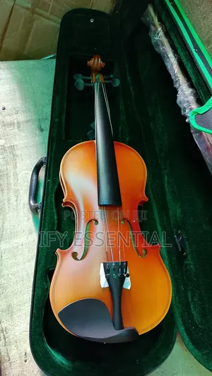 Violin Guitar