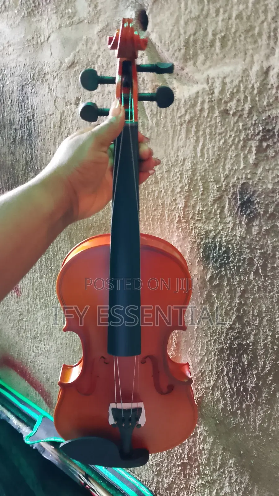 Violin Guitar