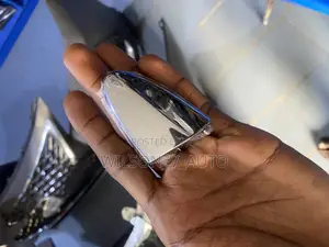 Silver Lexus Es350 Door Handle Cap Cover