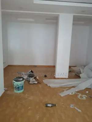 Professional Deep Cleaning Services in Lagos