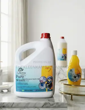 Professional Deep Cleaning Services in Lagos