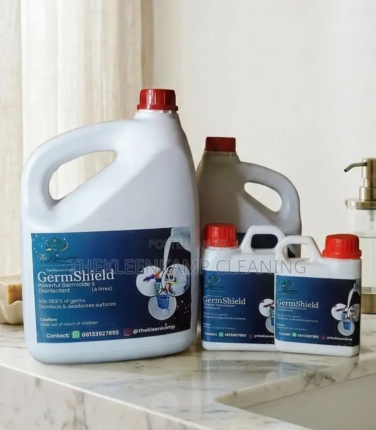 Professional Deep Cleaning Services in Lagos