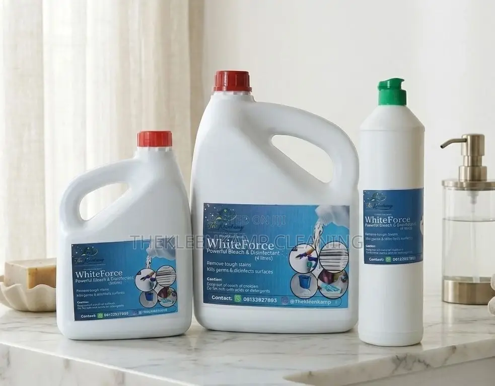 Professional Deep Cleaning Services in Lagos