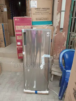 Lg Upright Freezer 304 6 Steps Silver