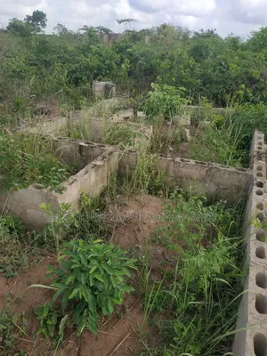 A 3 Bedroom Foundation Built on a Full Plot of Land Available for Sale