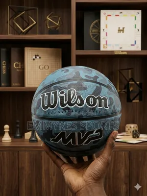 Wilson Basketball