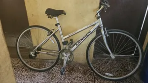 Adult Sport Bycicle