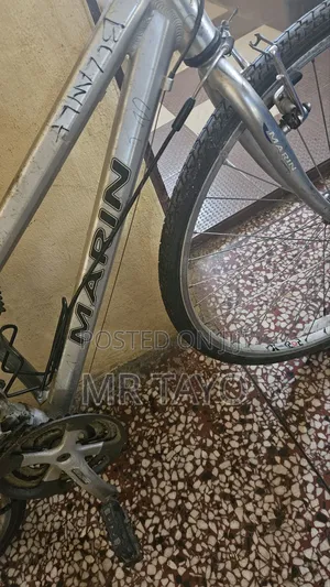 Adult Sport Bycicle