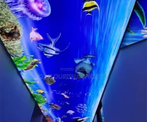 Shark 3d Stretch Ceiling