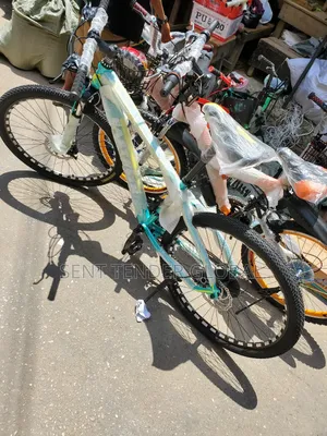 Adult Bicycle