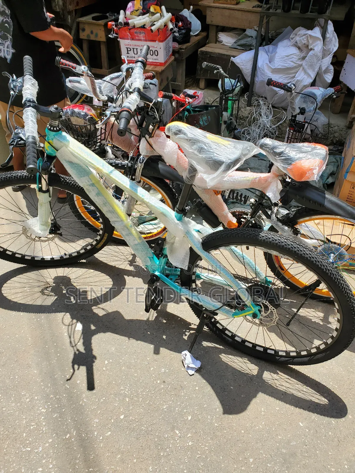 Adult Bicycle