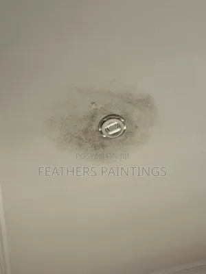 Professional Mould Treatment Painting
