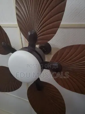 Amazon Fan