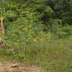 Land for Sale at Ikosi Ketu