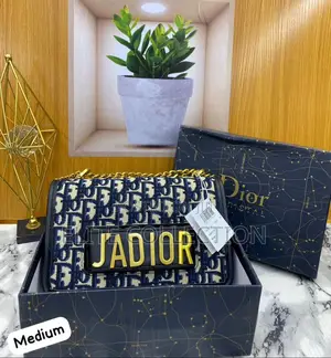 Jadior Bag the Medium Size Now Available Again in Shop in All Colors