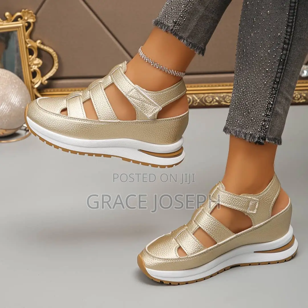 Ladies Shoe