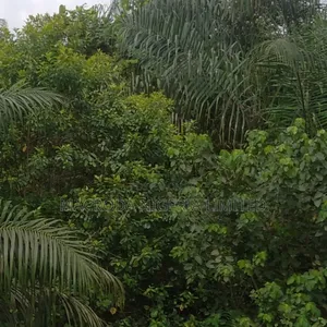 2 Plots of Land Available for Sale at Sagamu
