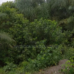 2 and Half Acres of Land Available