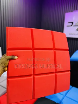 Acoustic Foam Sound Proof Panel