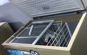 Chest Freezer