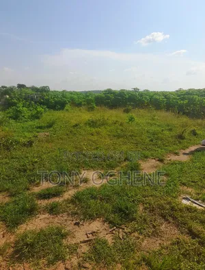 Plots and Acres of Land for Sale in Issele-Mkpetime, Asaba