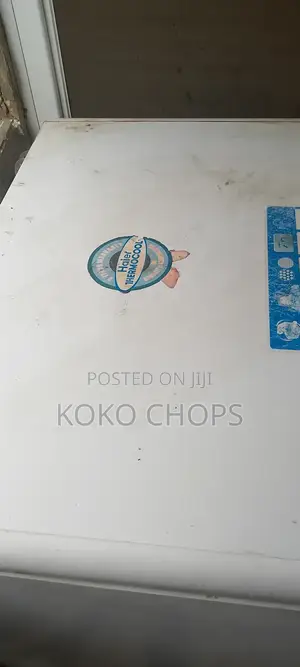 Thermocool Deep Freezer