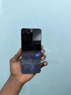 Samsung Galaxy Z Flip 5 256 GB Gray