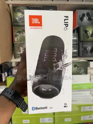 JBL Flip 6