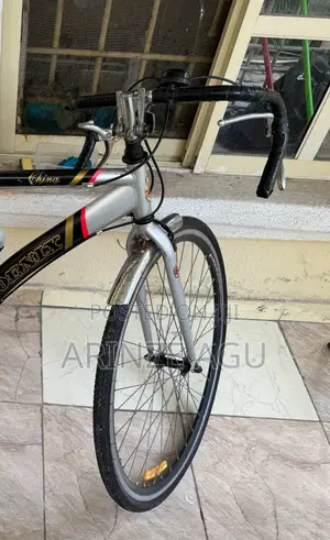 Bicycle in Good Condition