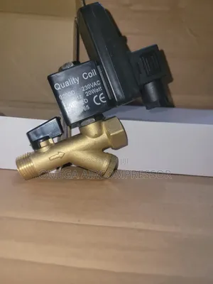 Auto Drain Valve