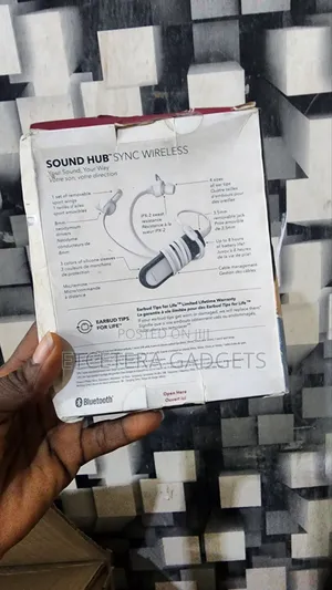 Sound Hub Wireless Receiver + Earbub System