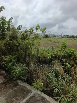 Survey Plan