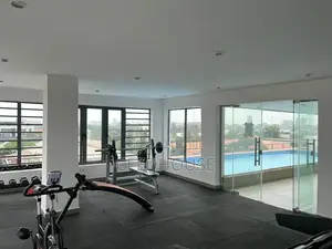 Luxurious 2 Bedroom Apartment With Rooftop Swimming Pool