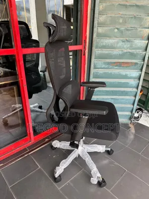 Mesh Ergonomic Chair
