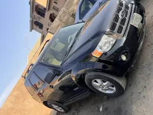 Ford Escape Limited 2010 Black