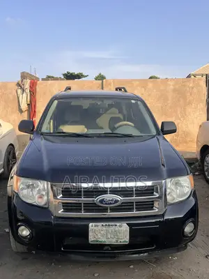 Ford Escape Limited 2010 Black