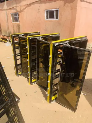 Frameless Windows With Net and Protector