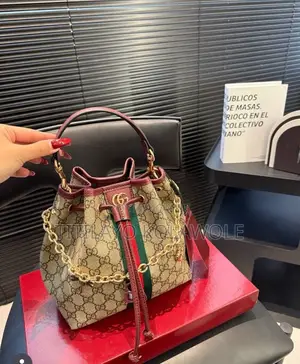 Luxury Gucci Bag