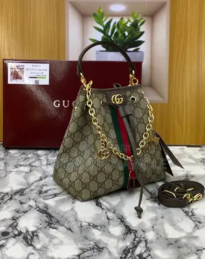 Luxury Gucci Bag