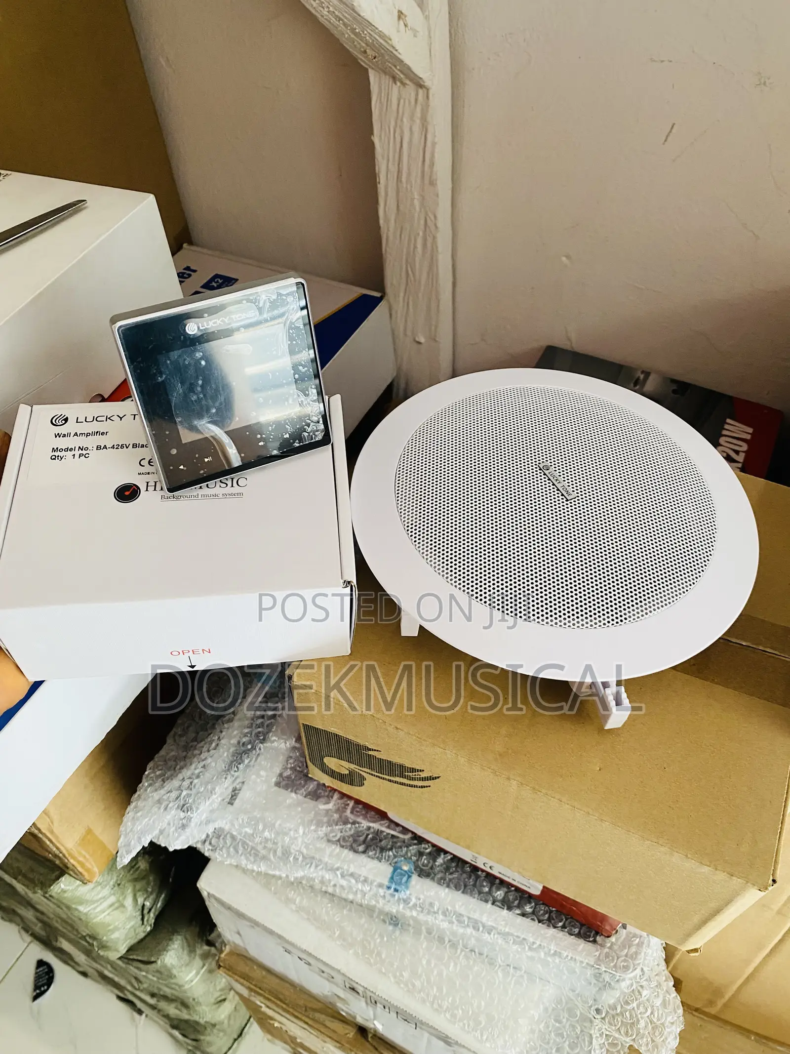 Ceiling Speaker and Amplifier