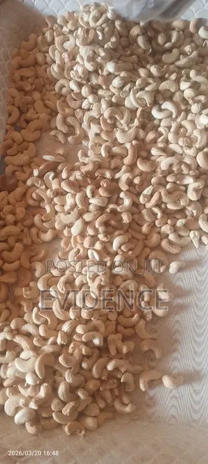 Cashew Nut
