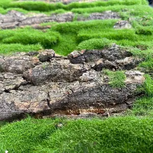 Artificial Tree Bark Moss Wall Mats Available for Bulk Sales