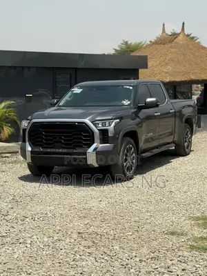 Toyota Tundra Limited 2022 Gray
