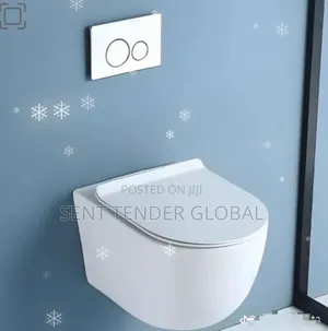 England Hung Wc