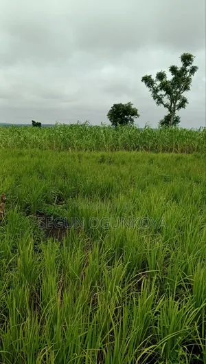 Land for Farming 1.5m Per Acre