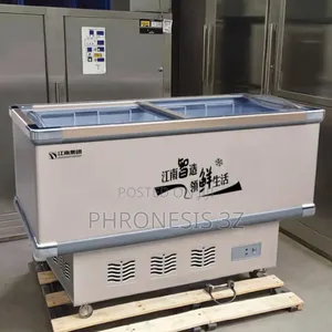 Island/Showcase Chest Freezer