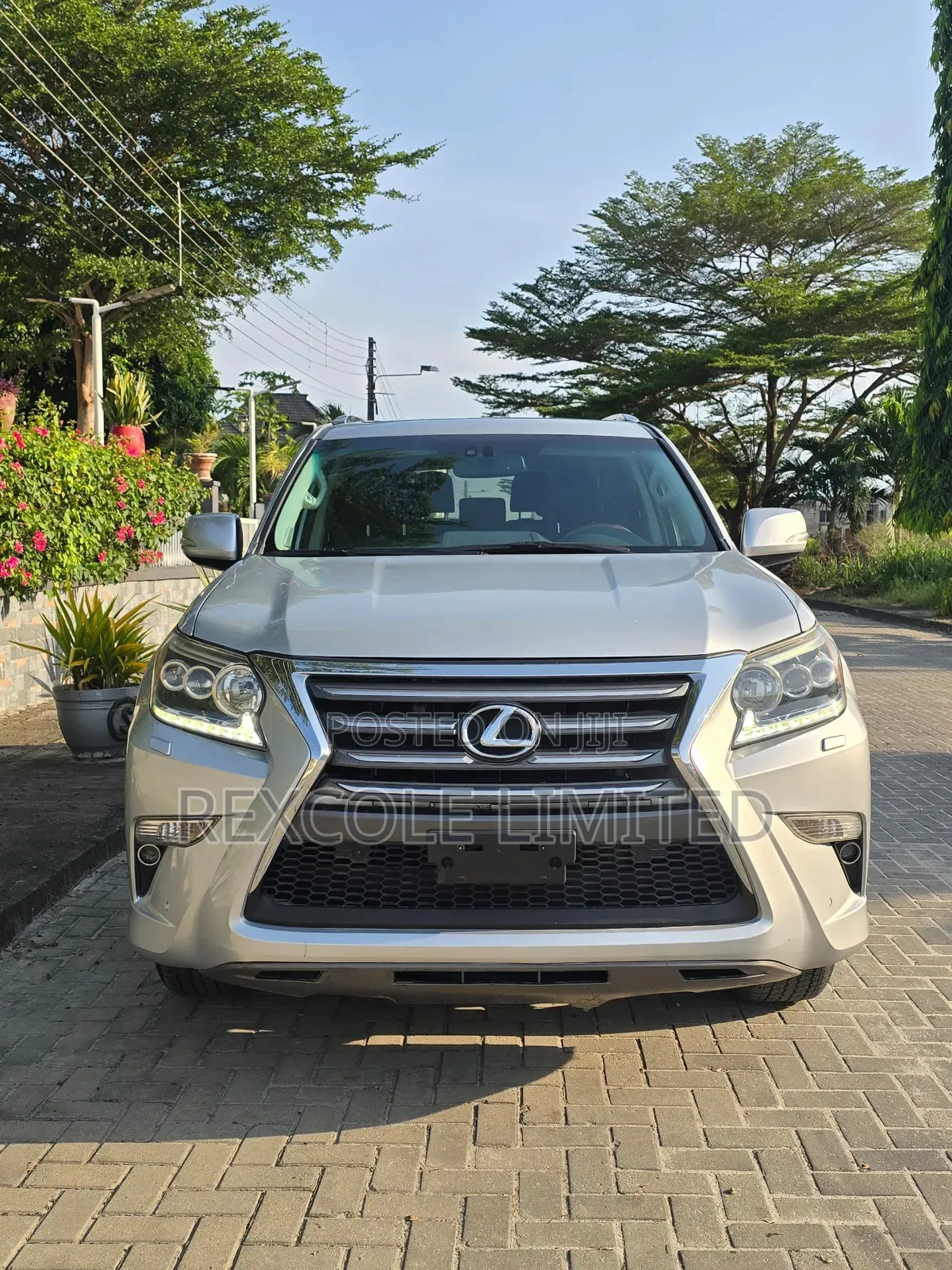 Lexus GX 460 Luxury 2015 Silver