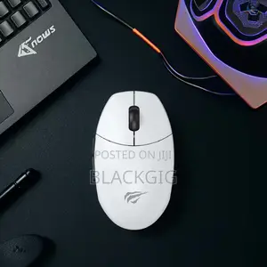 Rechargeable Dual Mode Wireless Mouse Bluetooth Havit Gaming Mouse