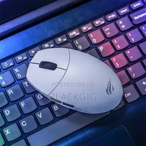 Rechargeable Dual Mode Wireless Mouse Bluetooth Havit Gaming Mouse